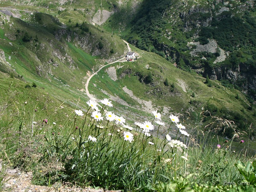 Masoni 244.jpg - Sguardo al bianco Rifugio Longo